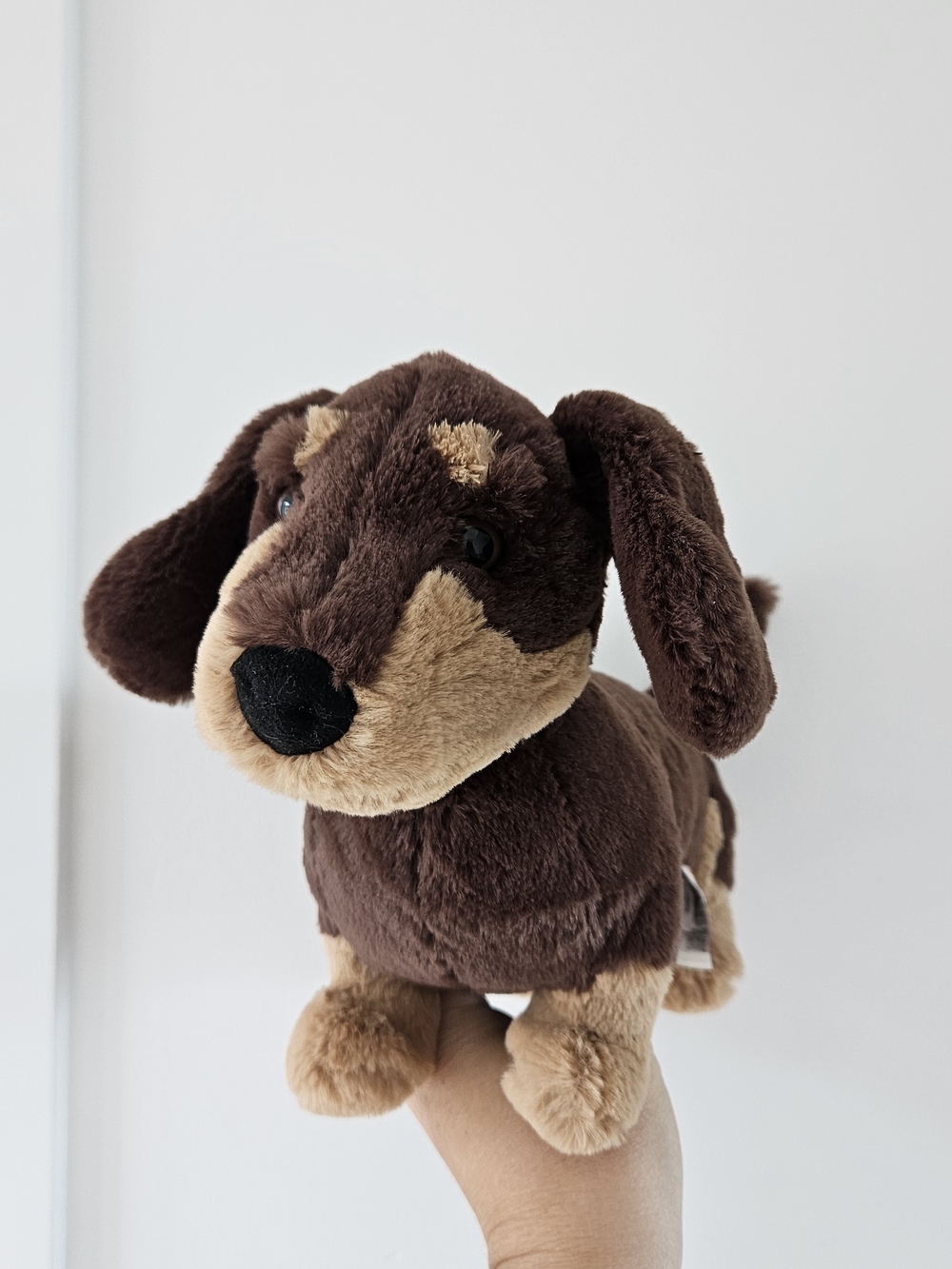 Jellycat Otto Sausage Dog NWOT